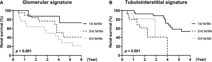 Figure 5