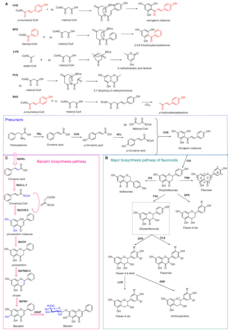 Figure 7