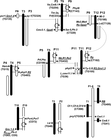 Figure 7.—