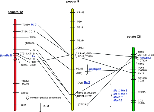 Figure 6.—