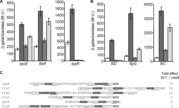 FIG 2