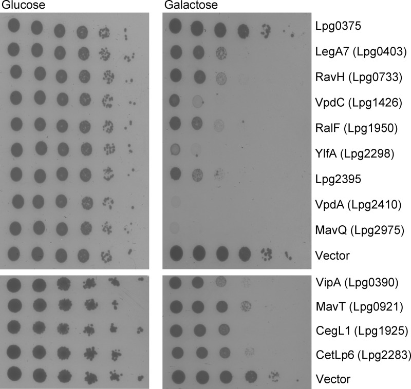 FIG 6