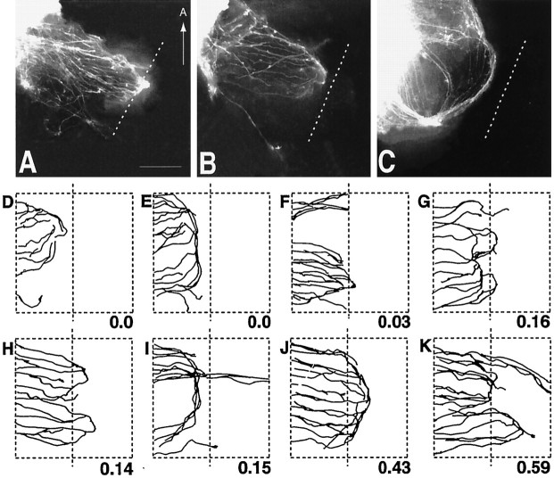 Fig. 8.