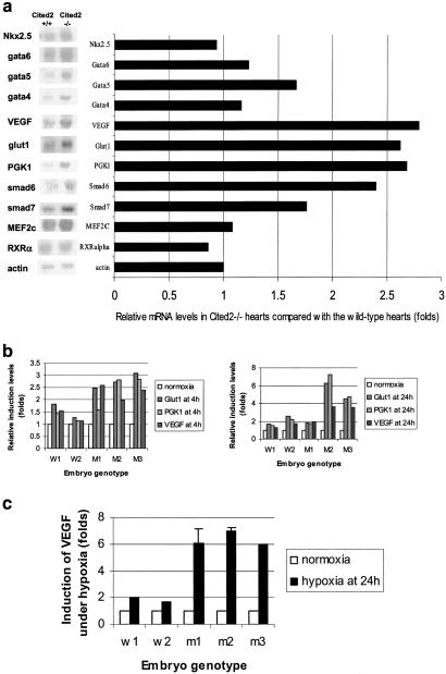 Fig 4.