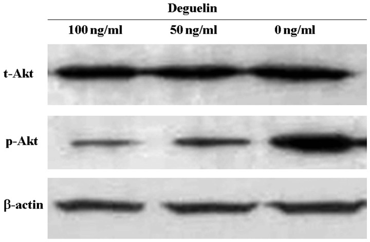 Figure 5.