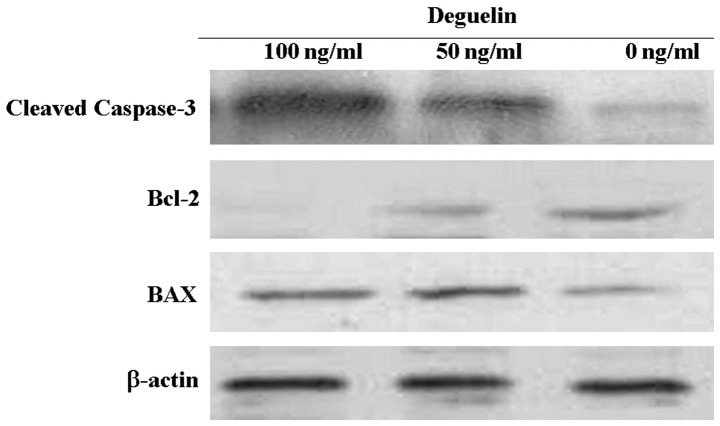 Figure 6.