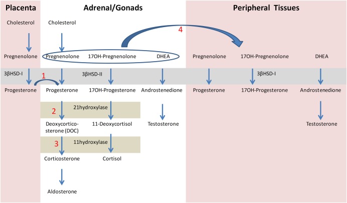 Figure 1