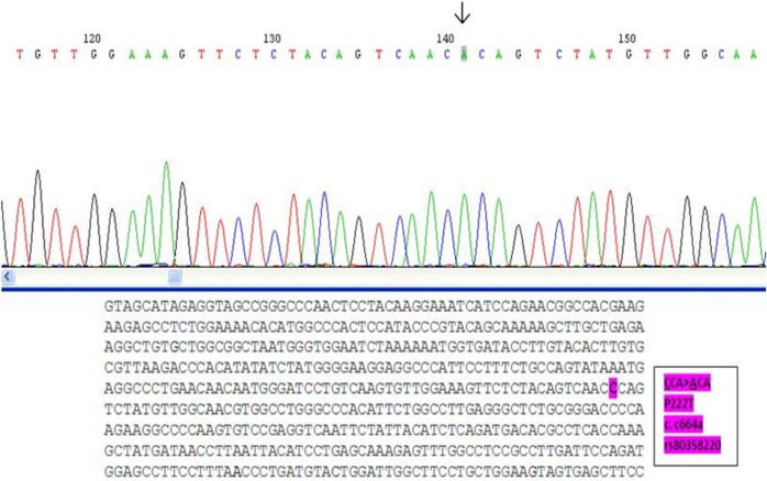 Figure 3