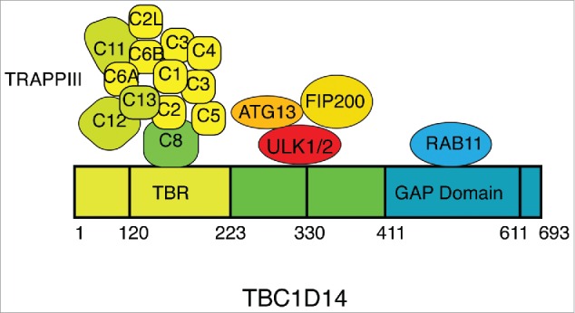 Figure 2.