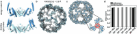 Extended Data Fig. 7