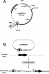 FIG. 2.