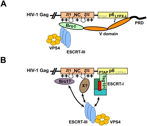 Figure 10