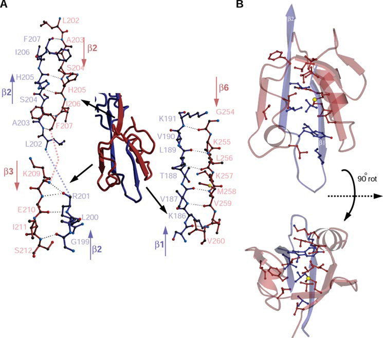 FIGURE 3