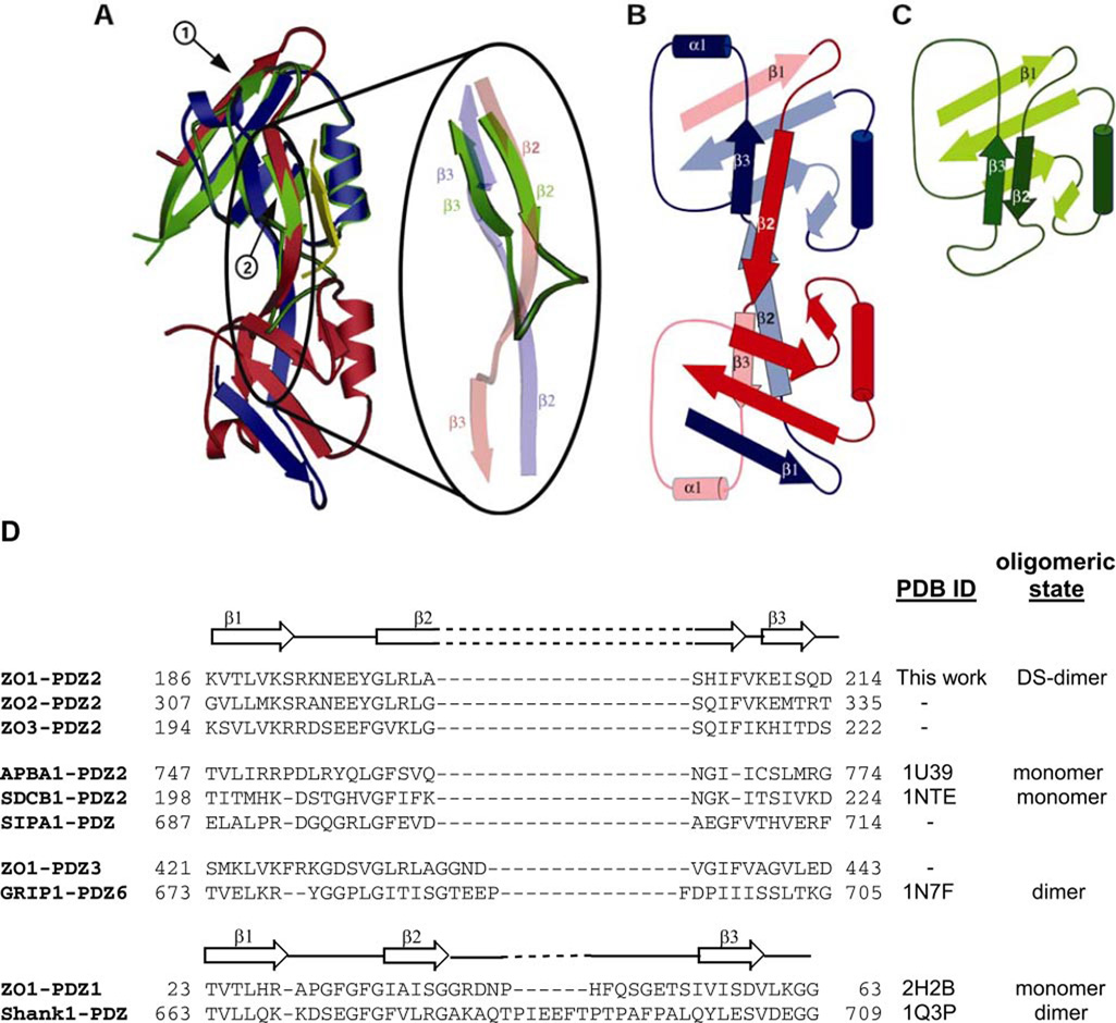 FIGURE 2