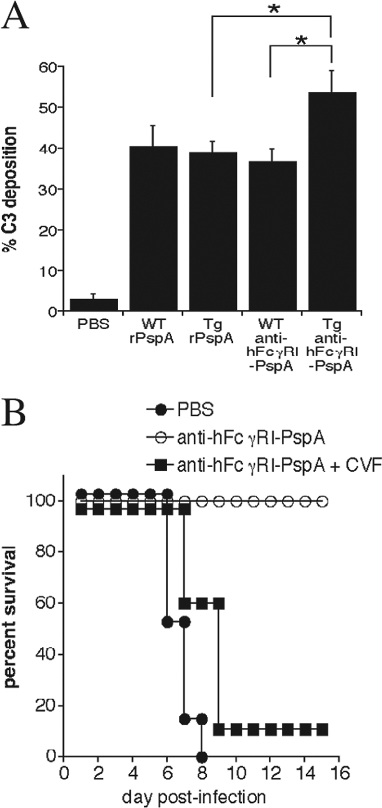 Fig 7