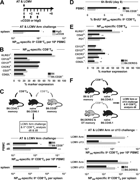 Fig 8