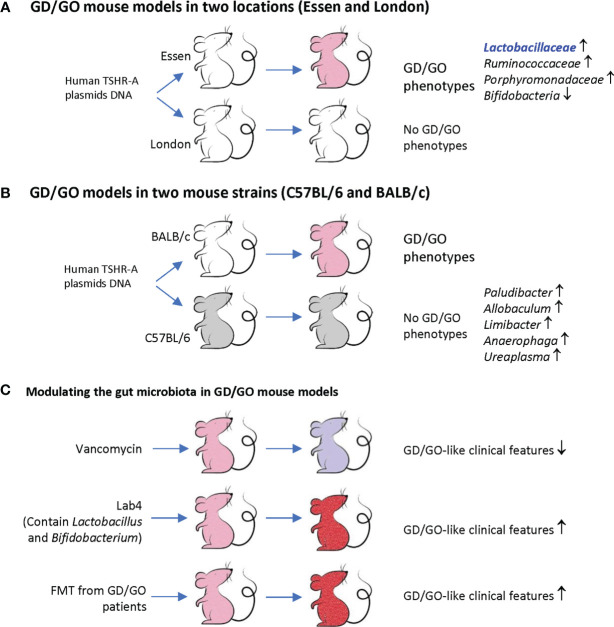 Figure 1