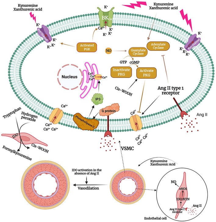 Figure 2.