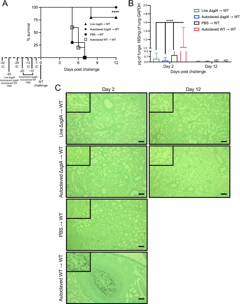 FIG 6