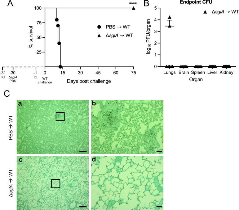 FIG 4