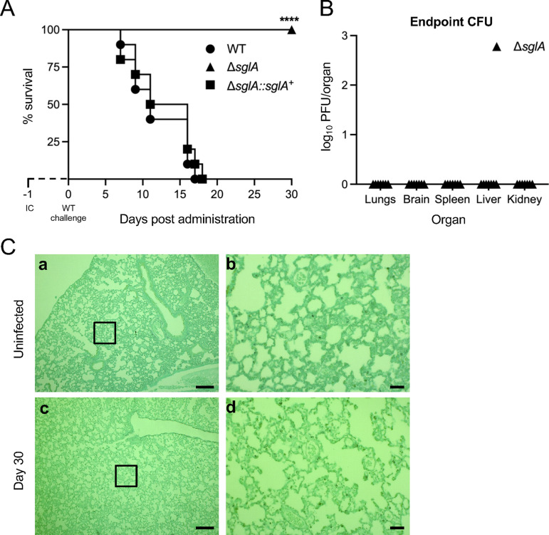 FIG 3