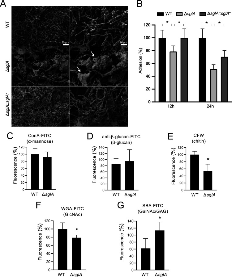 FIG 2