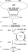 FIG. 1.