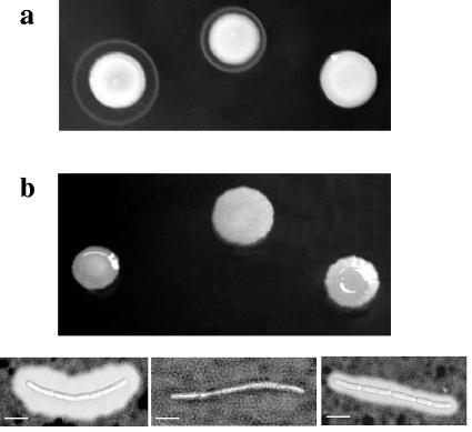 FIG. 6.