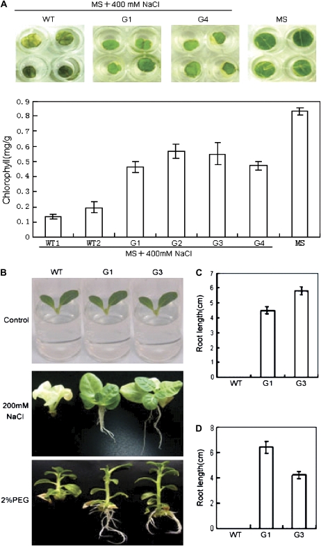 Fig. 8.