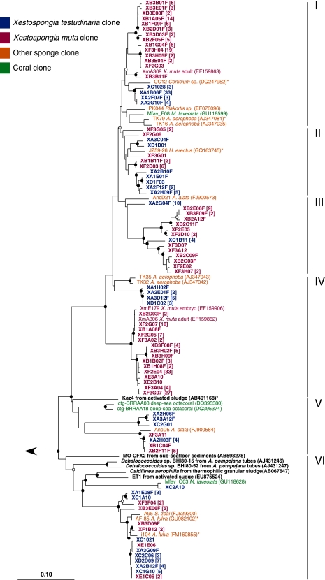 Fig. 6.