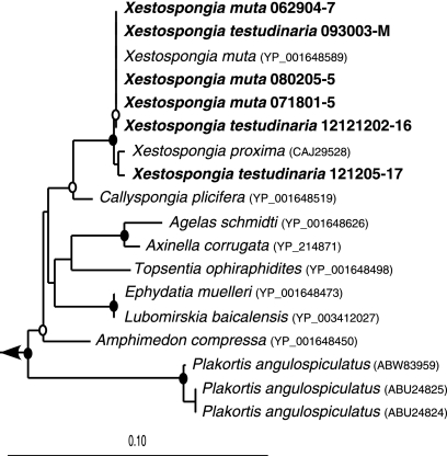 Fig. 1.