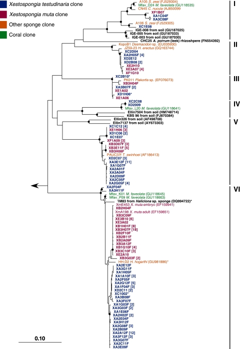 Fig. 7.