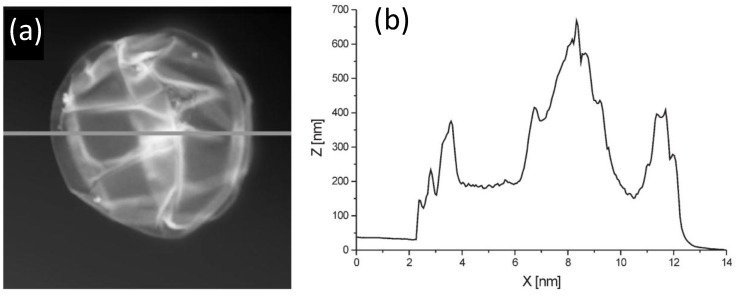 Figure 11