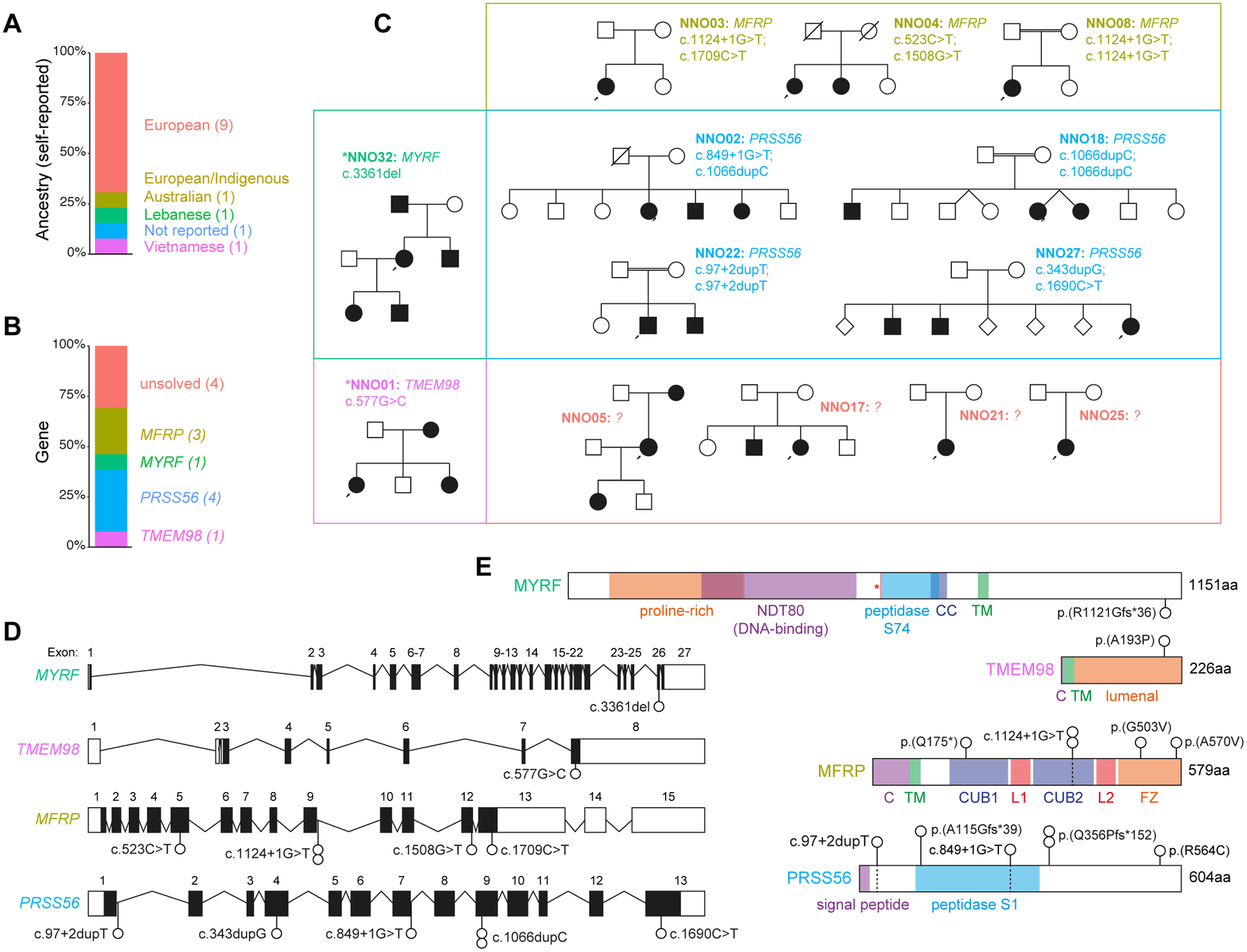 Figure 1: