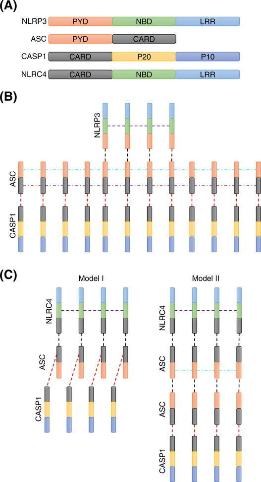 Figure 3.