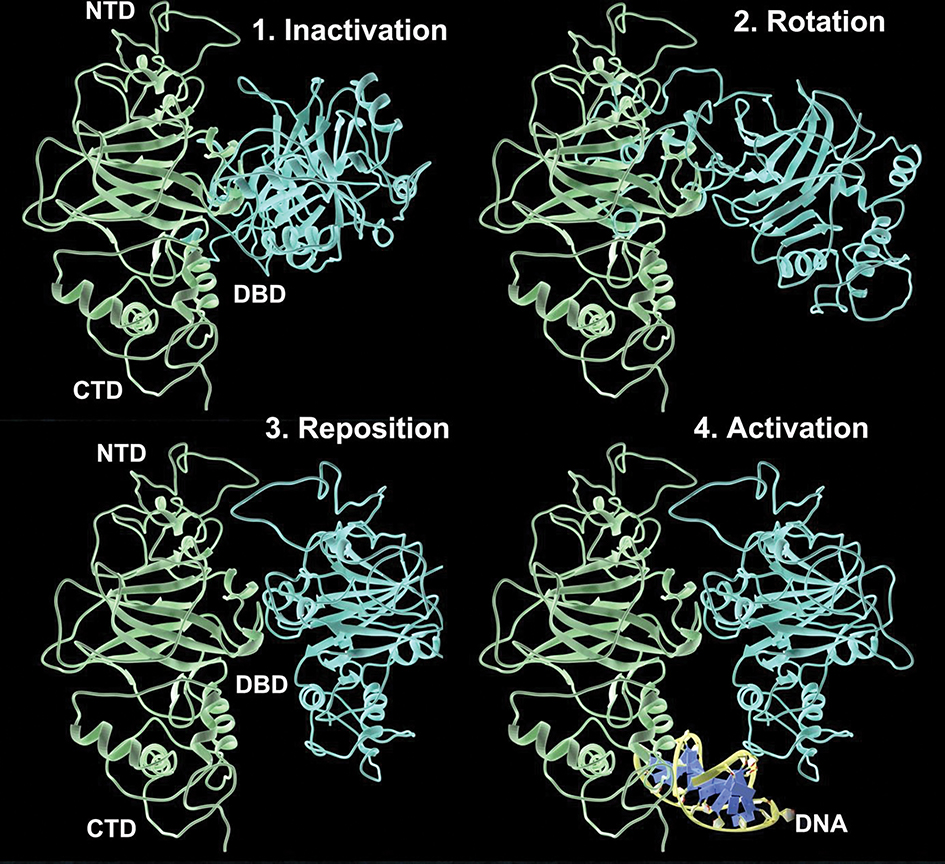 Figure 5.