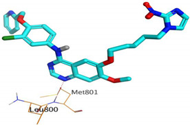 graphic file with name pharmaceuticals-16-00043-i023.jpg