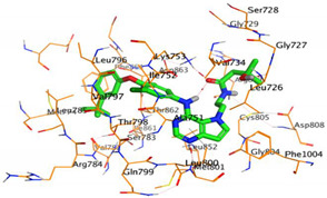 graphic file with name pharmaceuticals-16-00043-i019.jpg