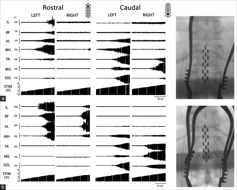 Figure 4: