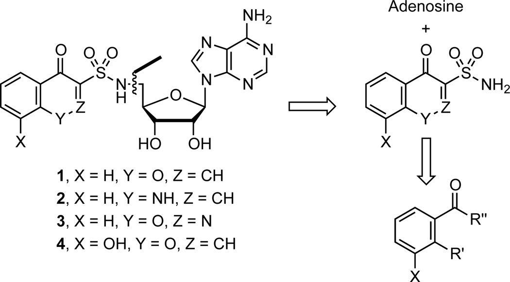 Scheme 1