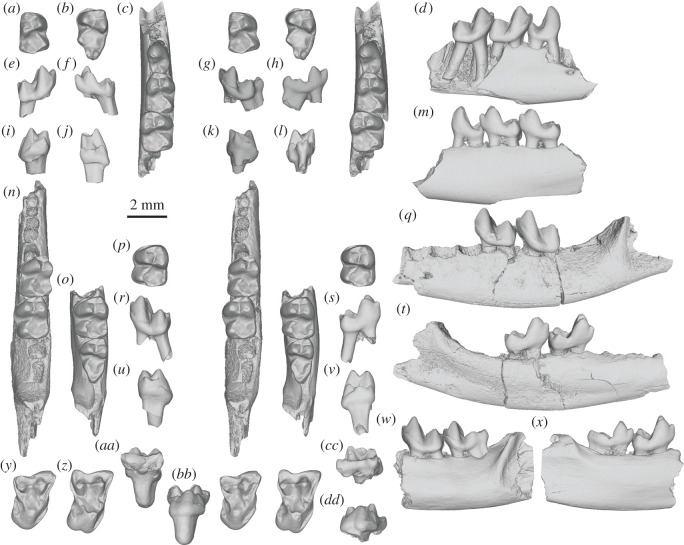 Figure 2. 