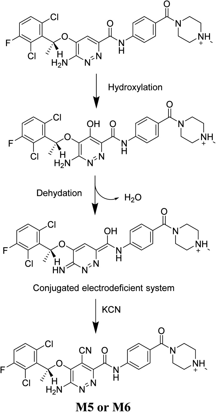 Scheme 9