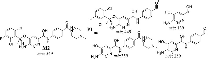 Scheme 3