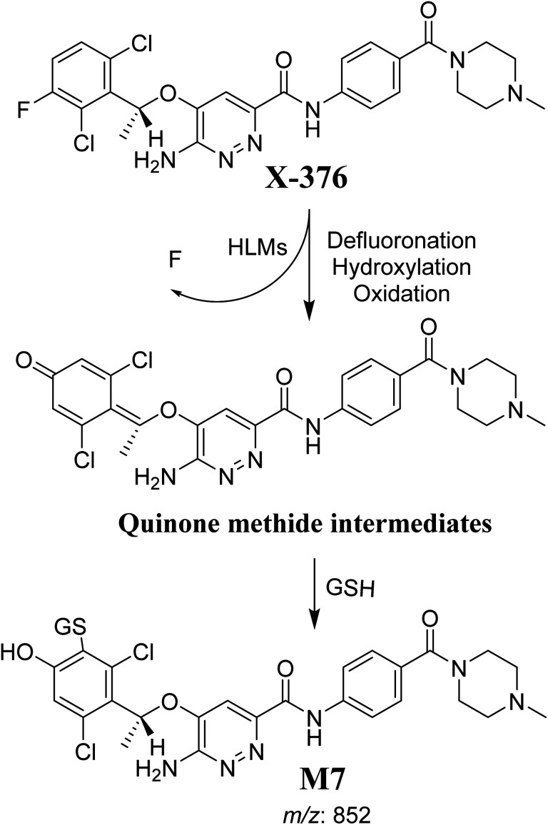 Scheme 10