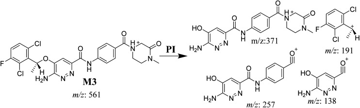 Scheme 4