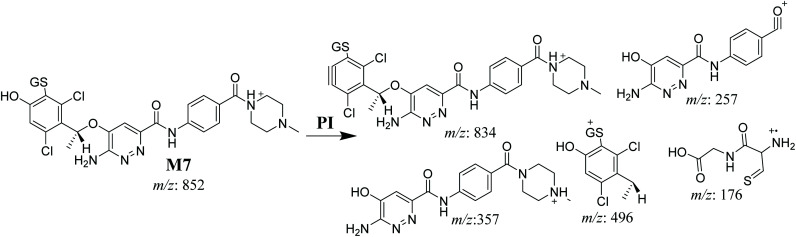 Scheme 8