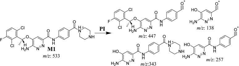 Scheme 2