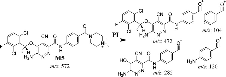 Scheme 6