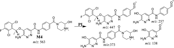 Scheme 5