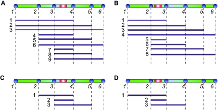 Figure  1. 